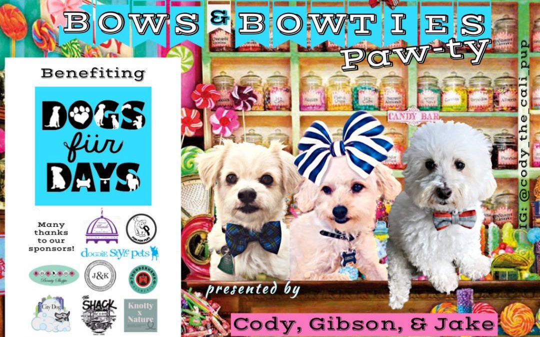 Bows & Bowties Paw-ty!