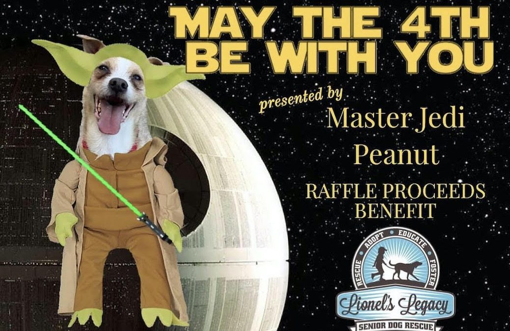 DOGGIES ON THE DECK! MAY 3, 2022