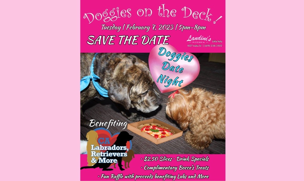 DOGGIES ON THE DECK! Feb 7, 2023