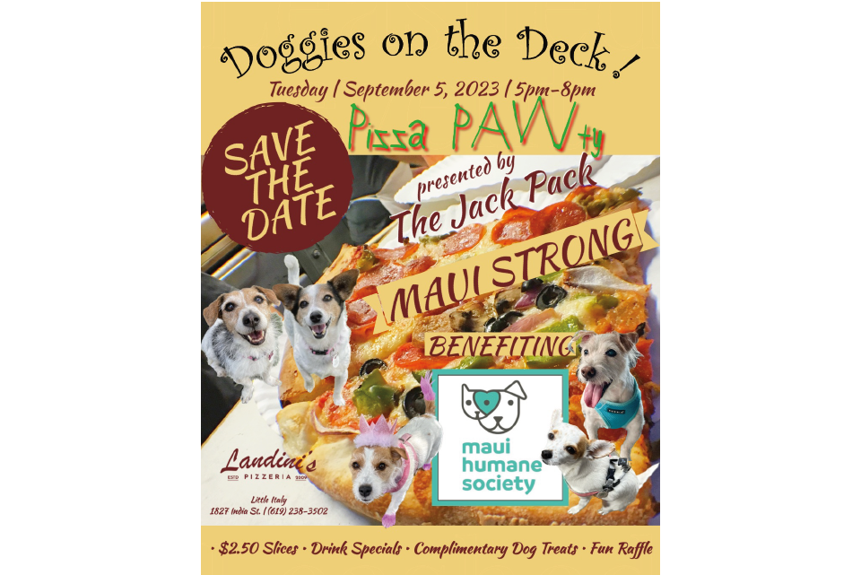 Doggies on the Deck! Sept 5, 2023