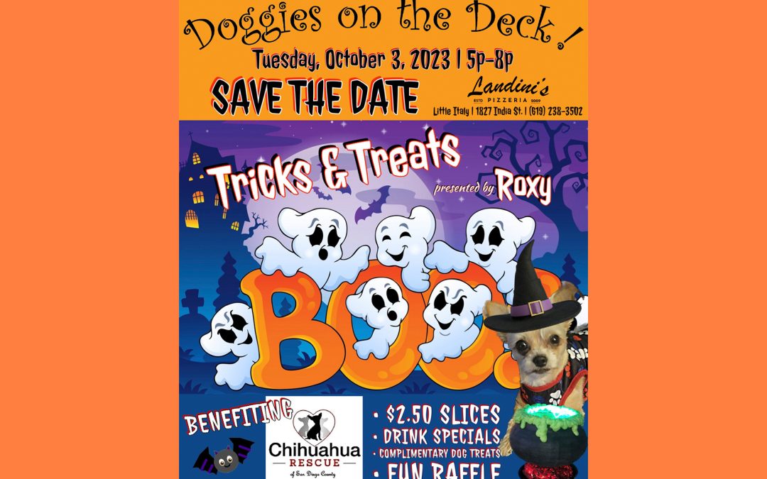 DOGGIES ON THE DECK! OCT 3, 2023