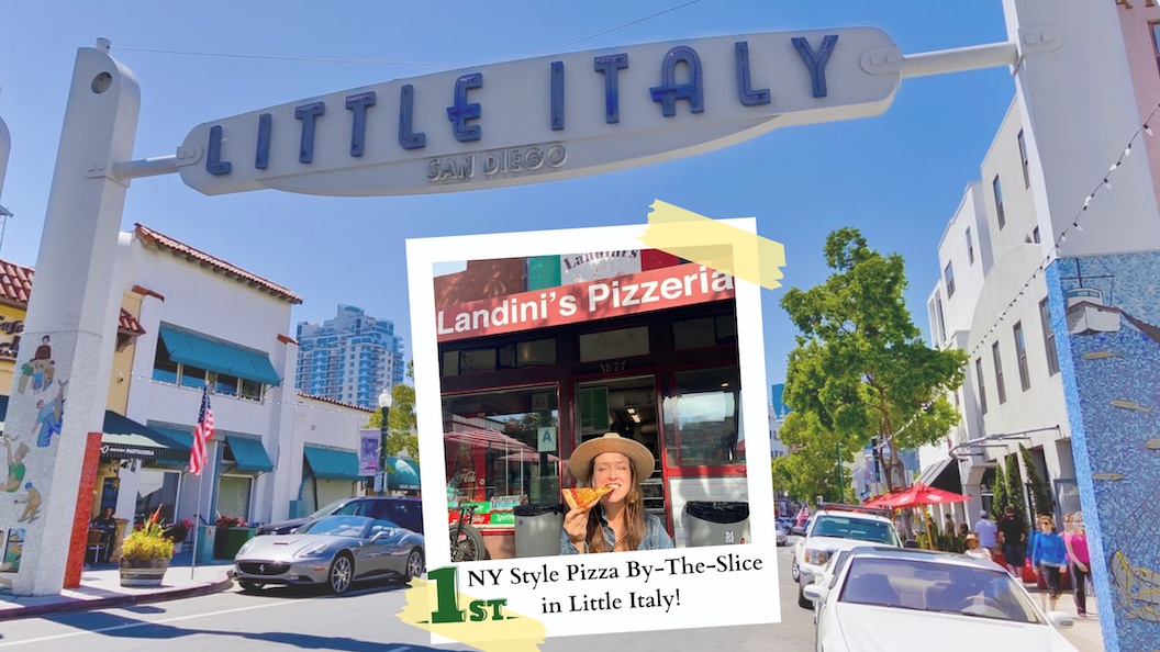 Landini's Website Design