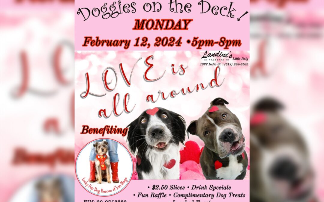 DOGGIES ON THE DECK! FEB 12, 2024