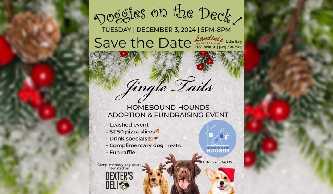 DOGGIES ON THE DECK! December 3, 2024!