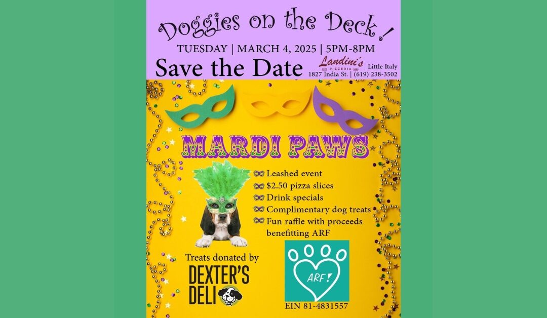 DOGGIES ON THE DECK! March 4th, 2025!