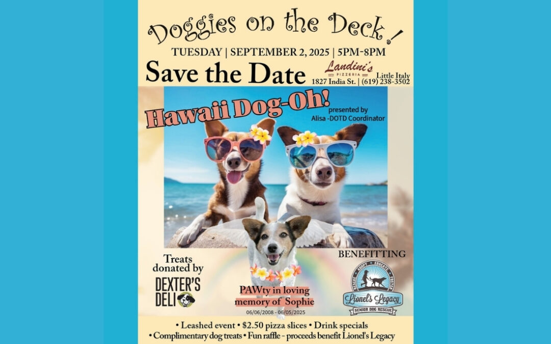 DOGGIES ON THE DECK! September 2nd, 2025!