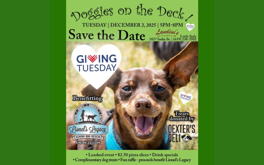 DOGGIES ON THE DECK! December 2nd, 2025!